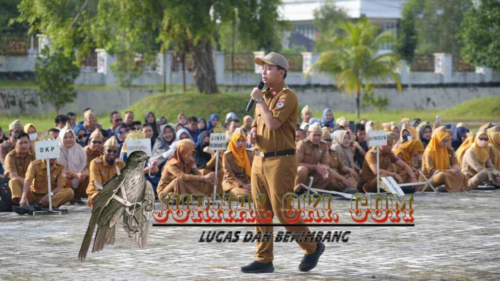 IMG-20250224-WA0043
